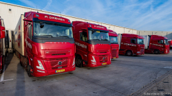 20251122-Daemen-00185